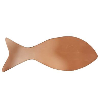 Peixe de Parede – Tamanho G