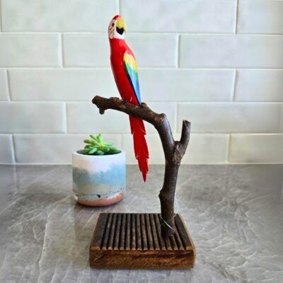 Arara Vermelha – no Galho – Madeira