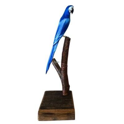 Arara Azul- no Galho – Madeira